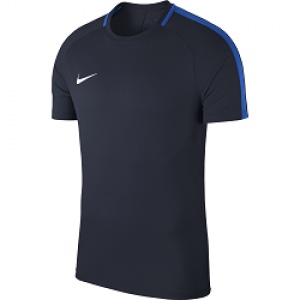 Nike Academy 18 Jersey (Navy/Royal Blue) - The Football Factory