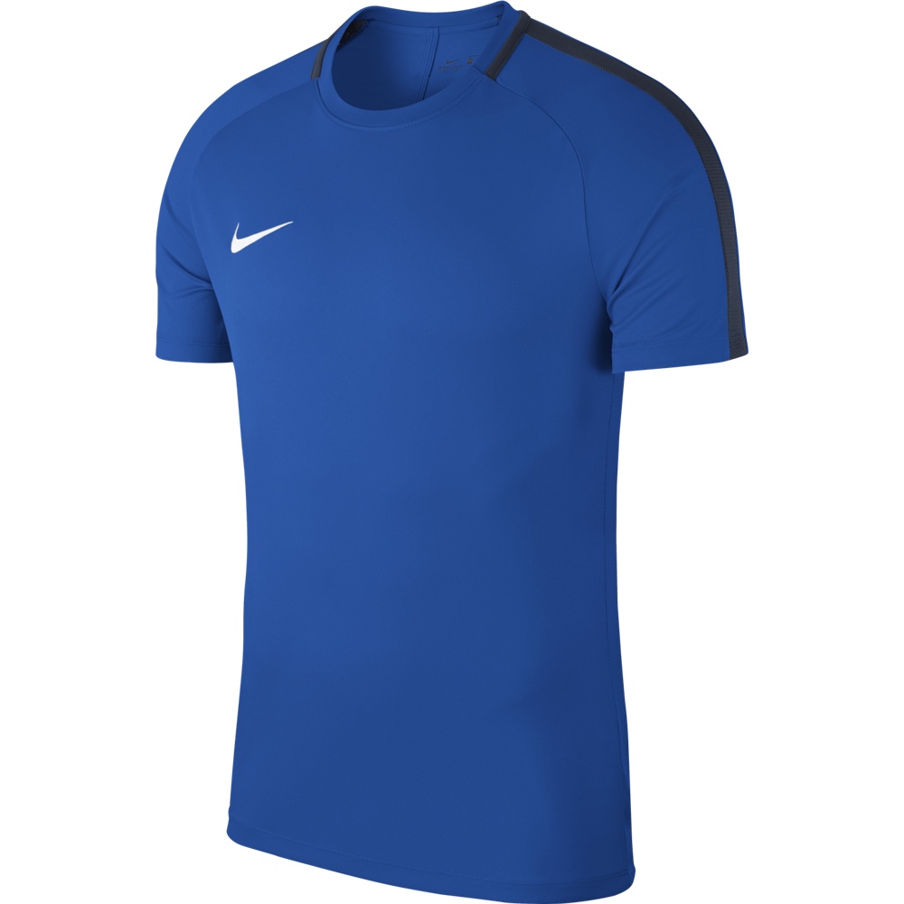 Nike Academy 18 Jersey (Royal Blue/White) - The Football Factory