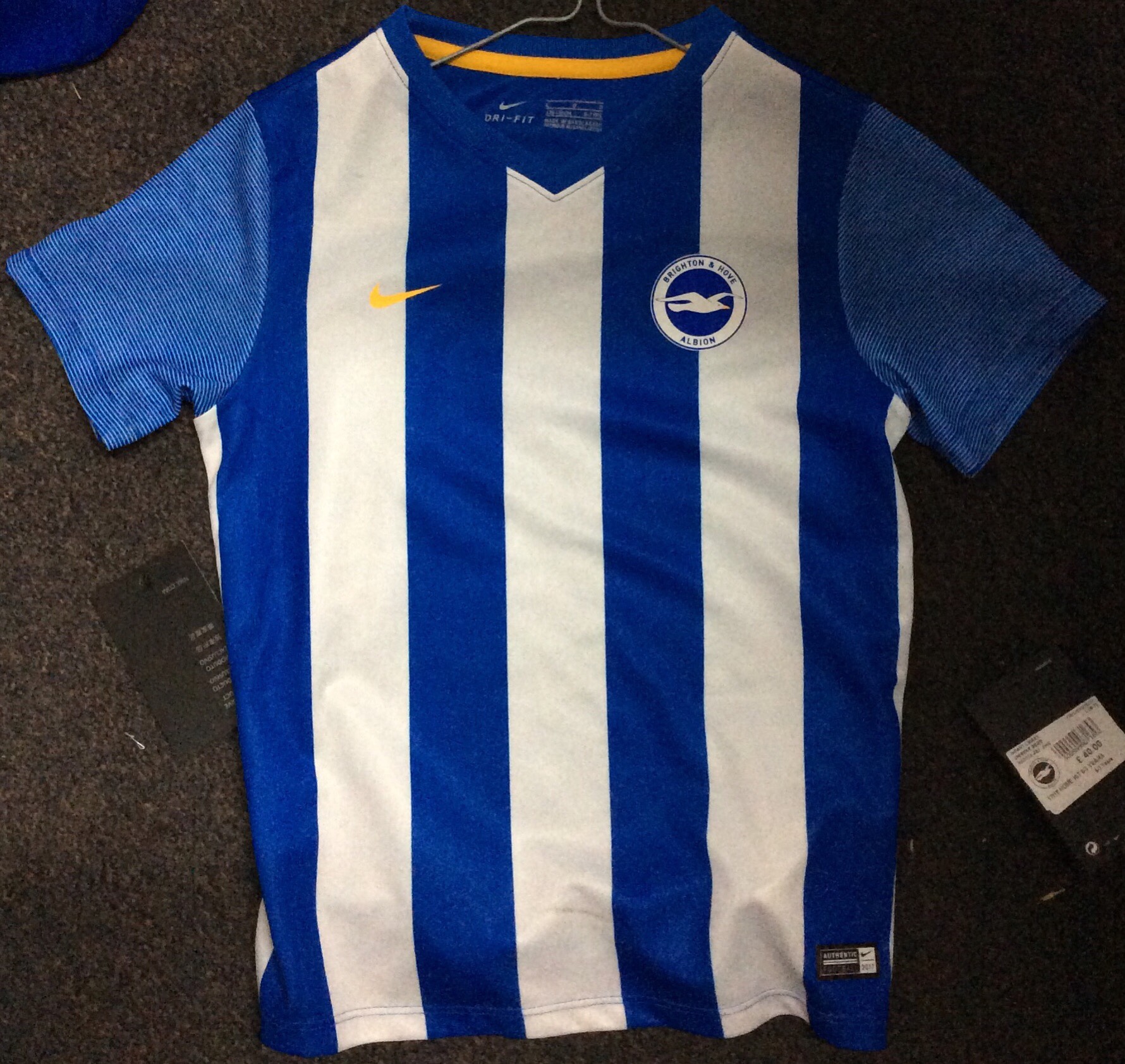 Brighton And Hove Albion 17/18 Jersey - The Football Factory