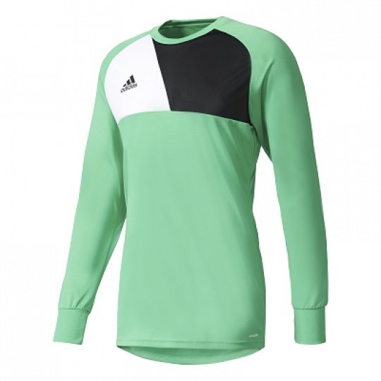 adidas assita 17 goalkeeper jersey