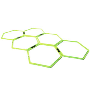 6 Pack of Agility Octagon Rings in Carry Bag